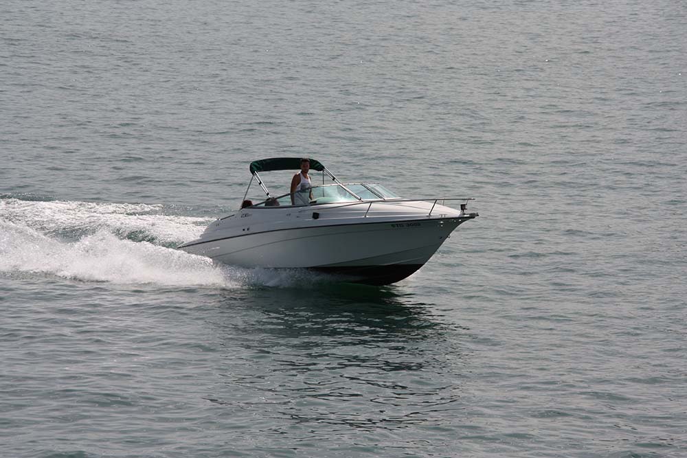 Bodensee www.die4hartwigs.de