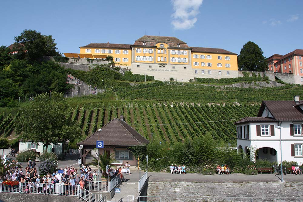 Bodensee www.die4hartwigs.de