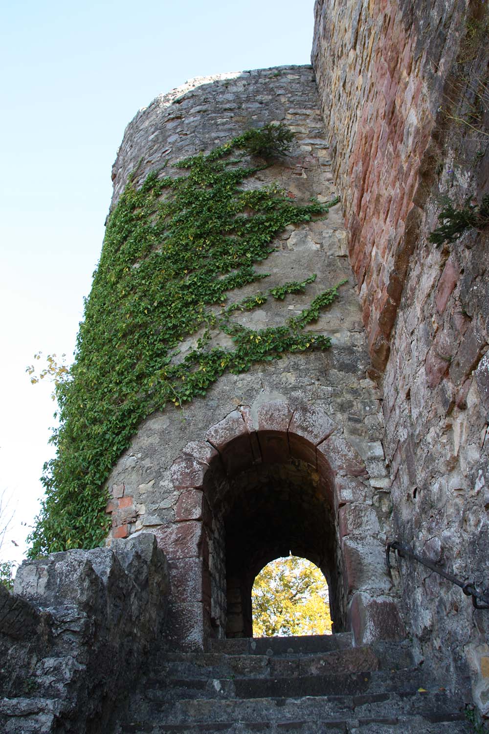 Burg Rötteln www.die4hartwigs.de