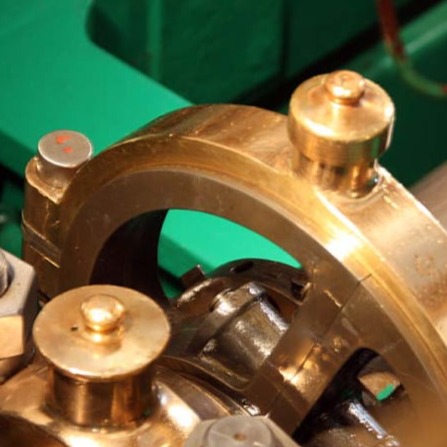 Dampferfahrt Dresden www.die4hartwigs.de