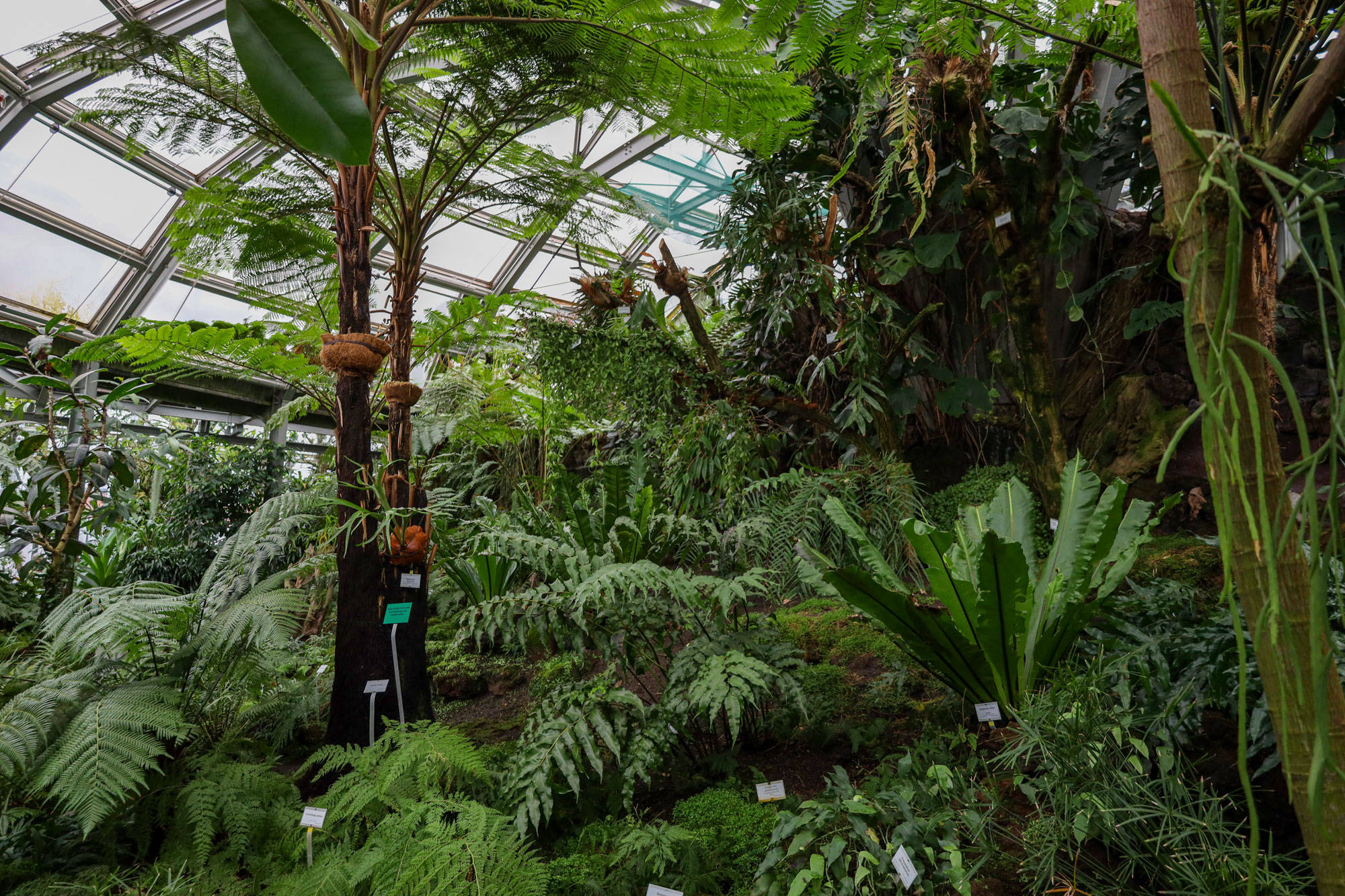 Botanischer Garten Berlin www.die4hartwigs.de