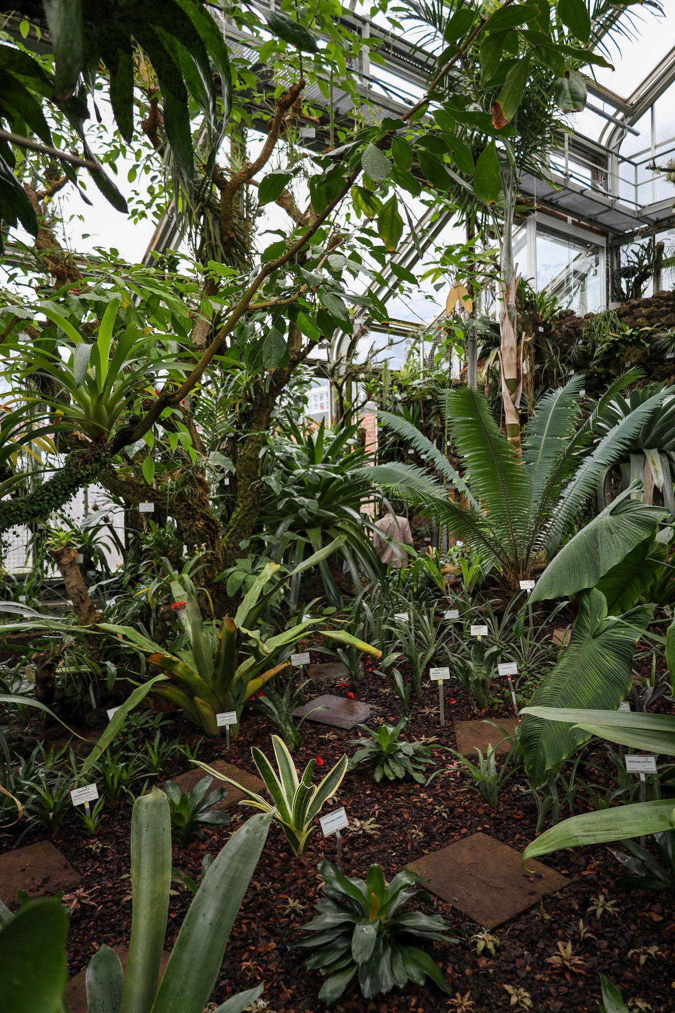 Botanischer Garten Berlin www.die4hartwigs.de