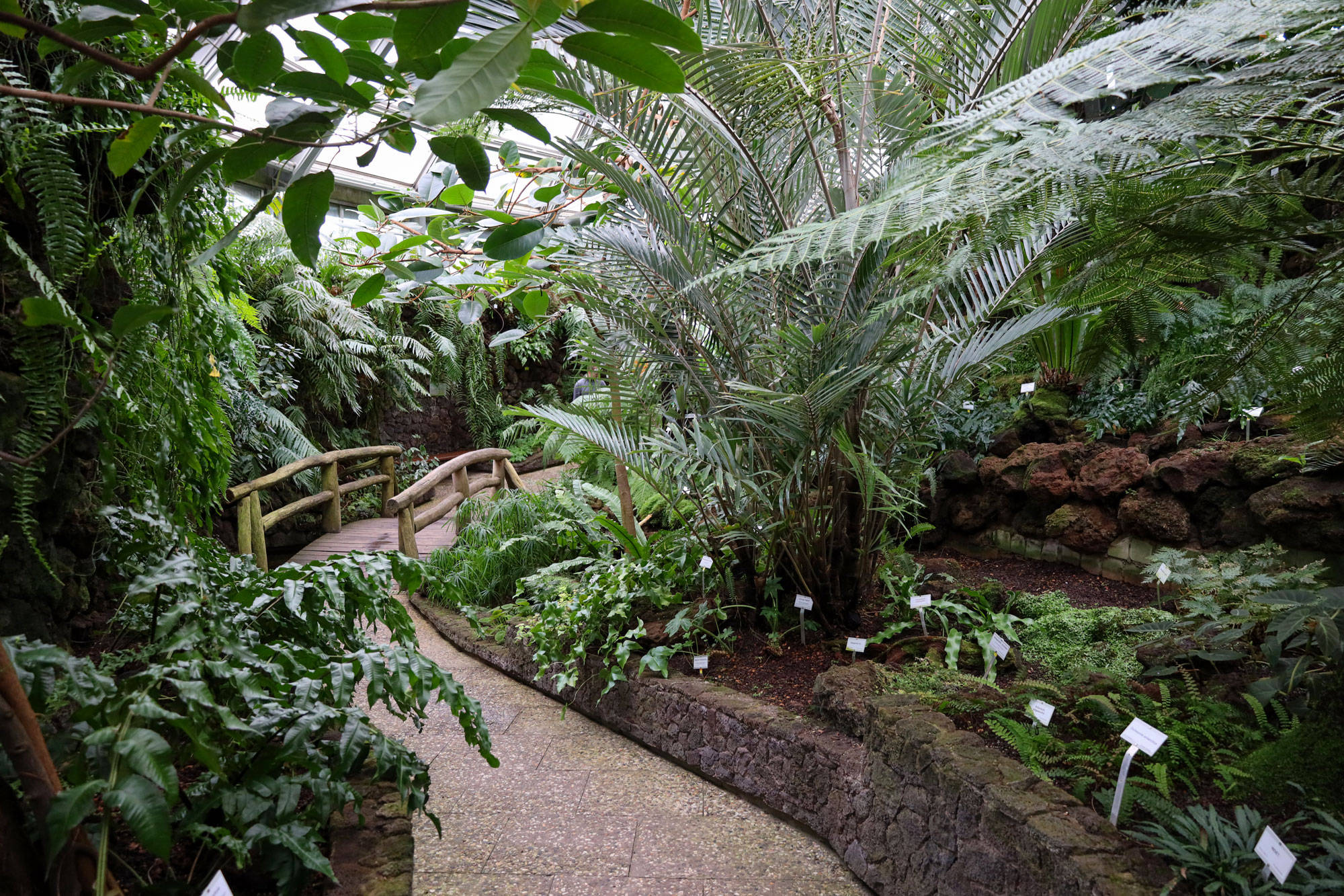 Botanischer Garten Berlin www.die4hartwigs.de