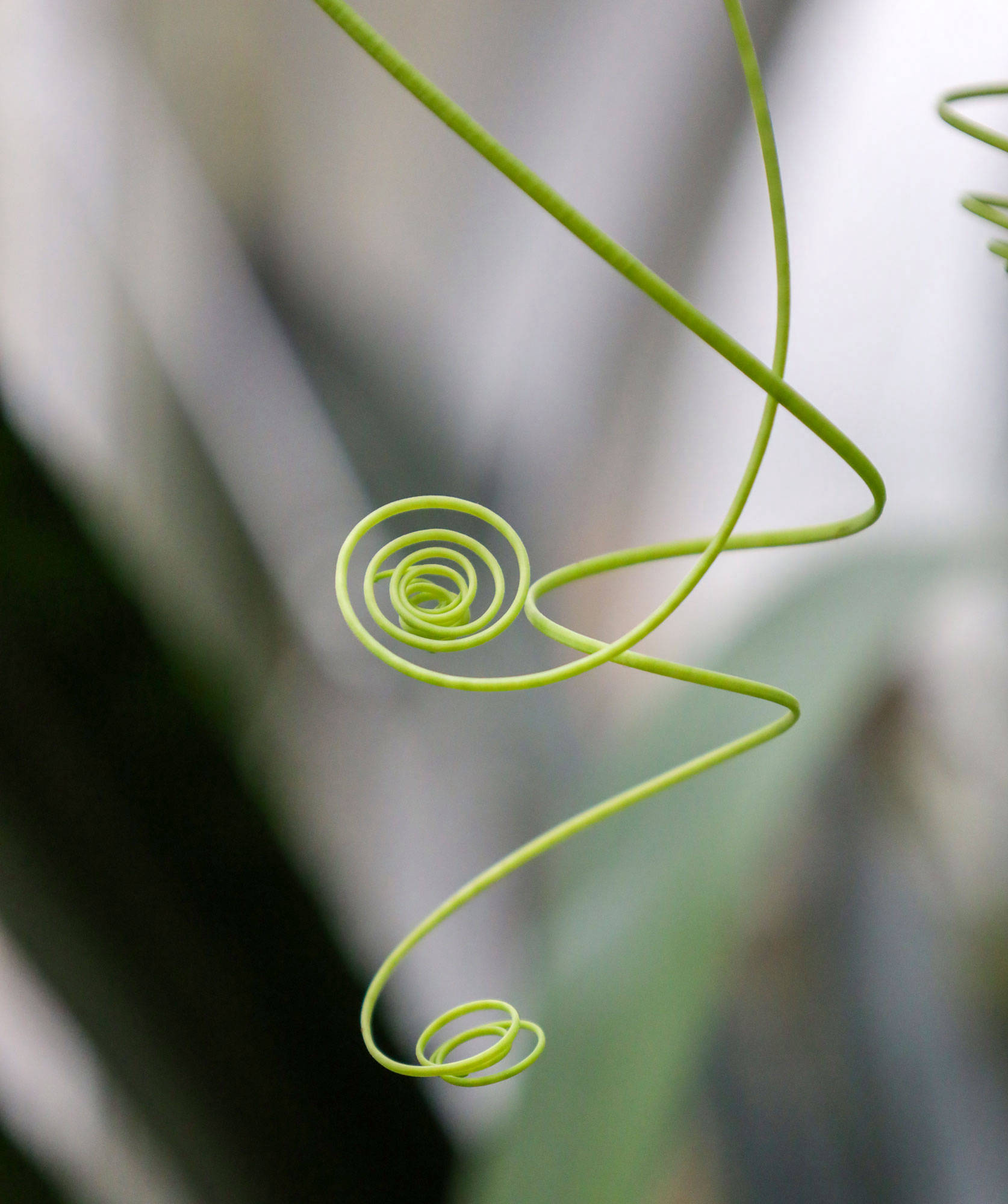 Botanischer Garten Berlin www.die4hartwigs.de