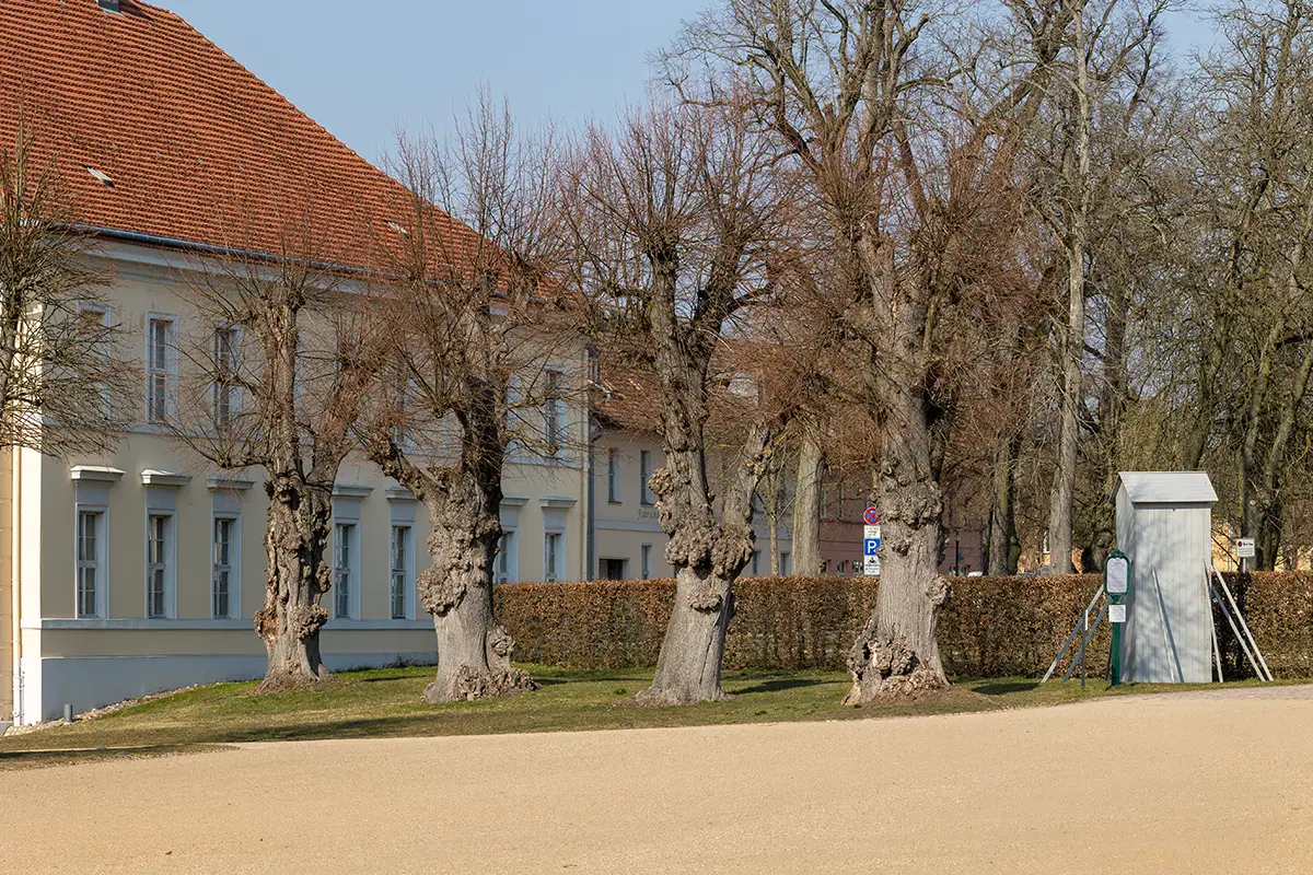 Schloss Rheinsberg www.die4hartwigs.de