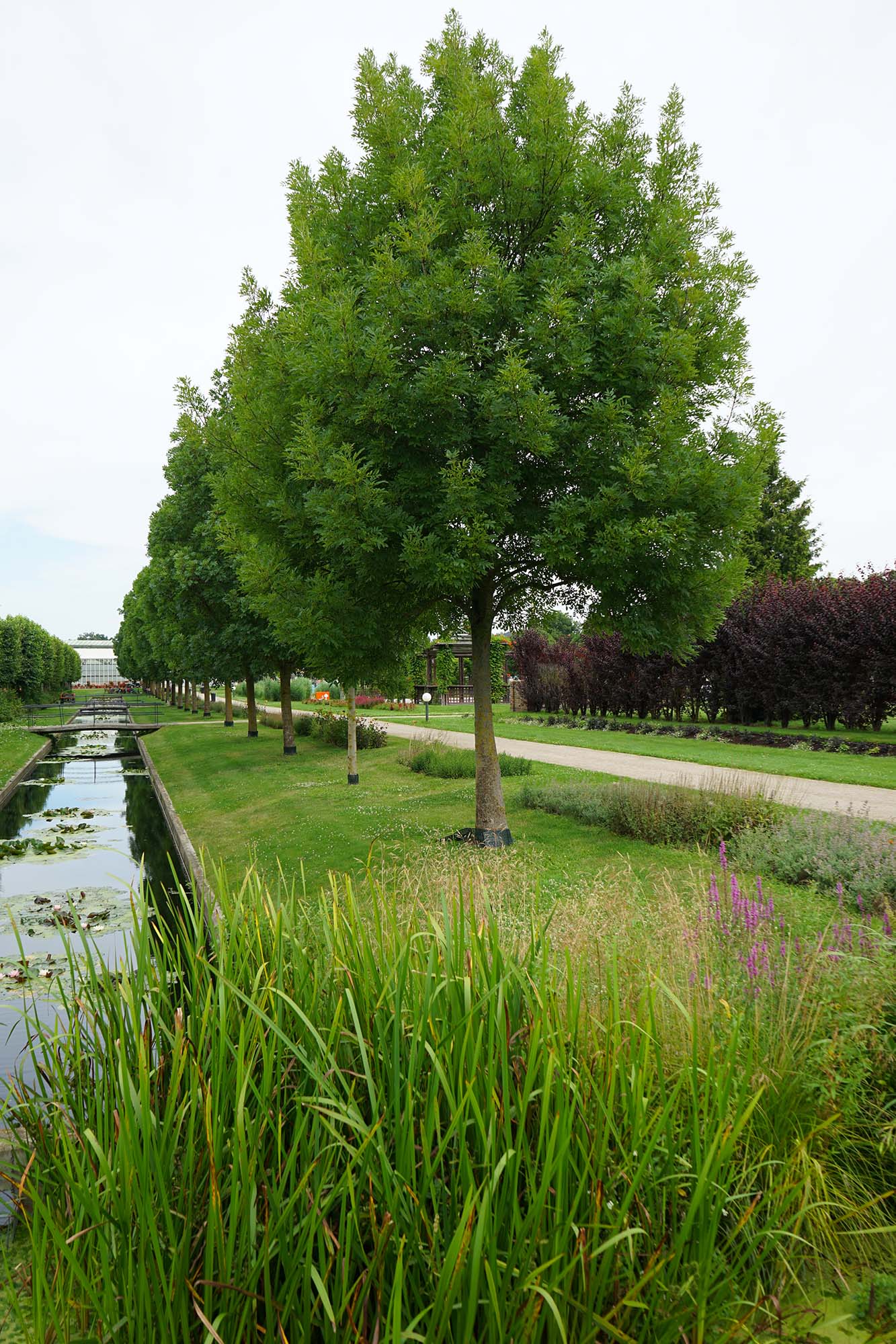 Schloss Oranienburg www.die4hartwigs.de