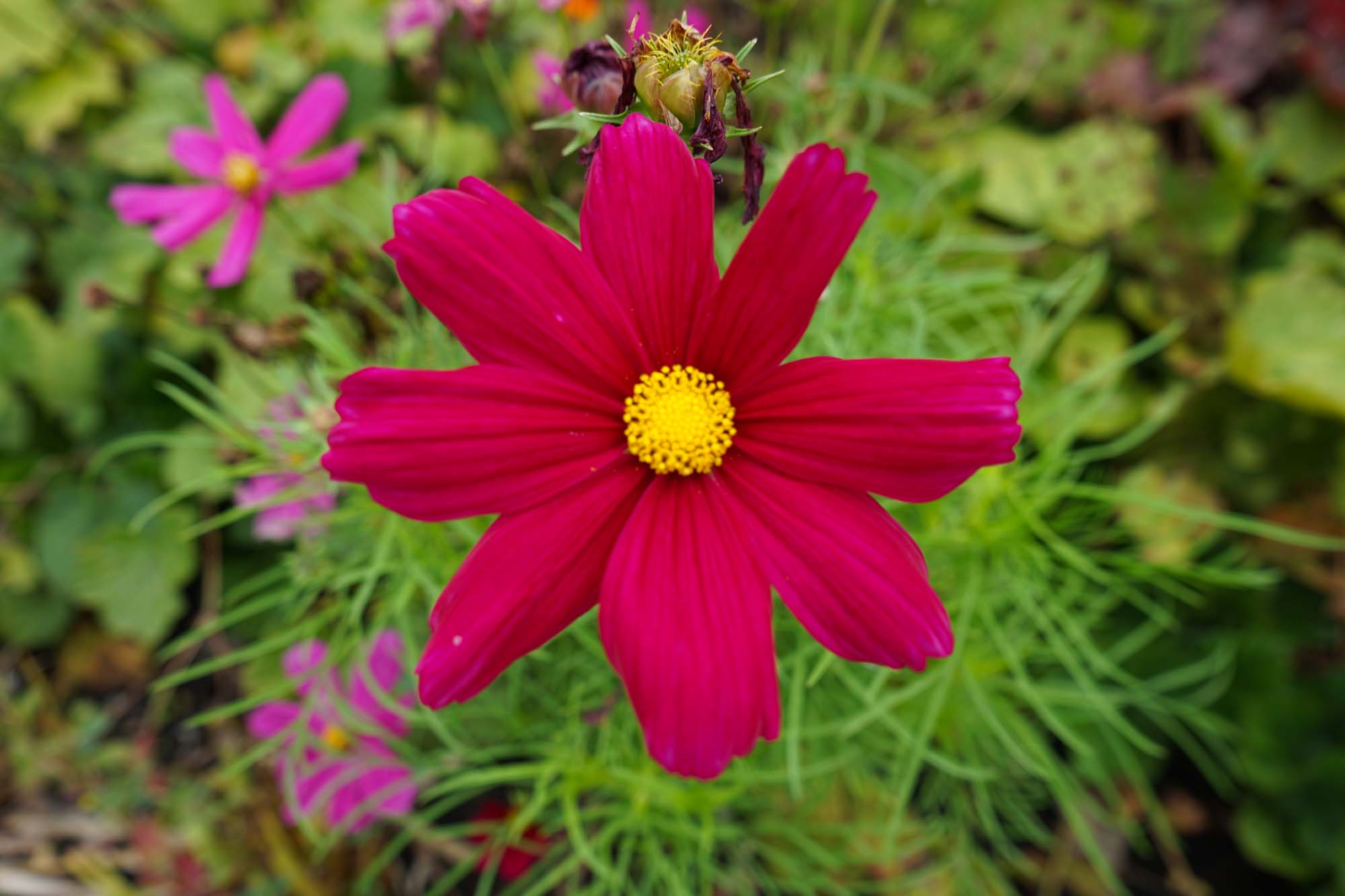 Schloss Oranienburg www.die4hartwigs.de