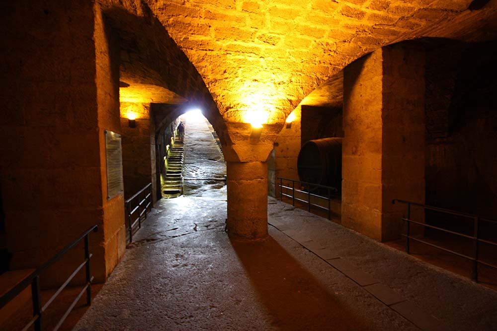 Festung Königstein www.die4hartwigs.de