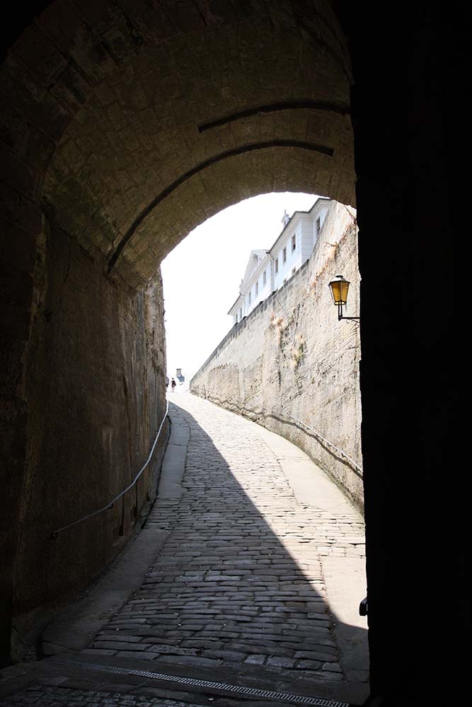 Festung Königstein www.die4hartwigs.de