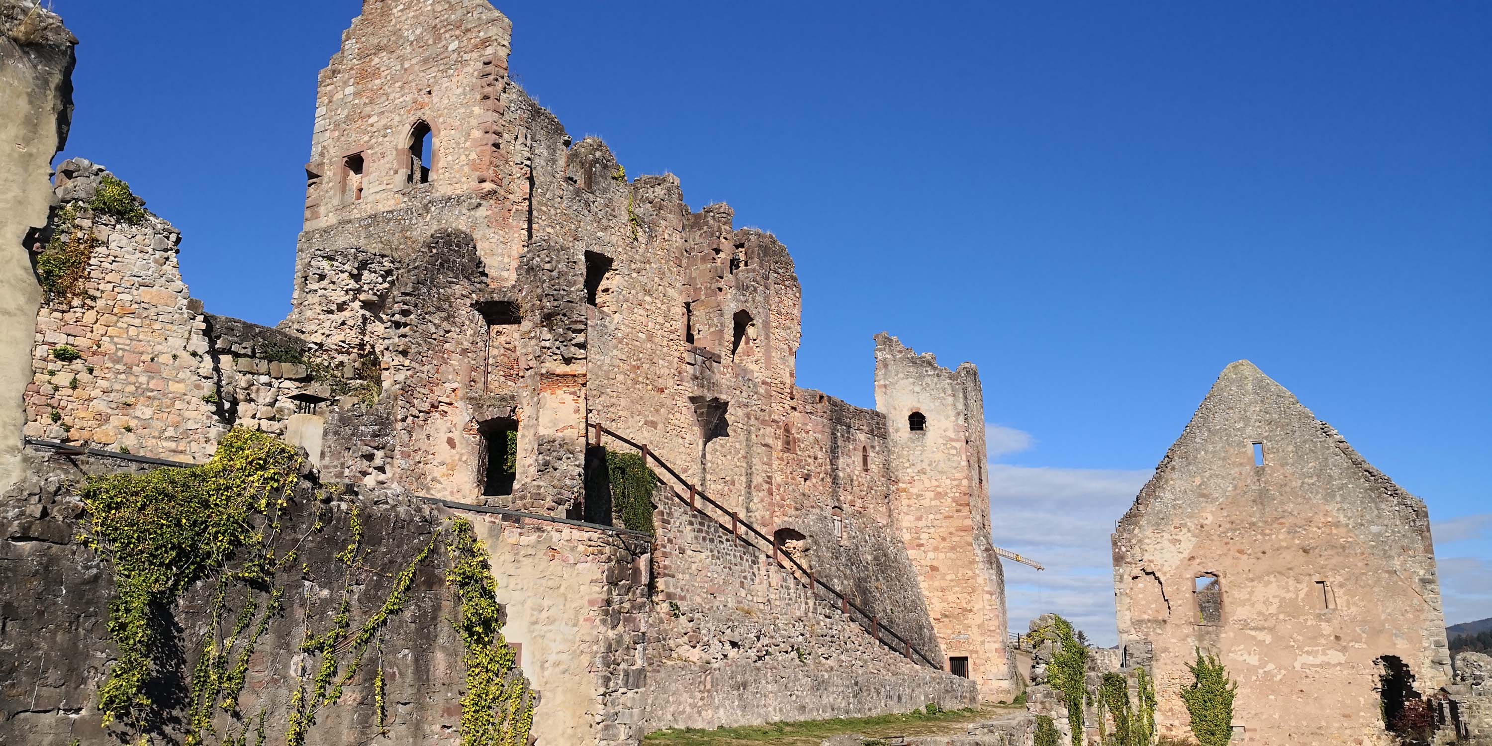 Hochburg Emmendingen www.die4hartwigs.de