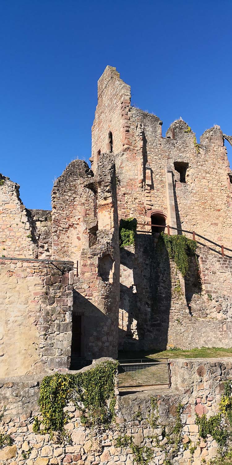 Hochburg Emmendingen www.die4hartwigs.de