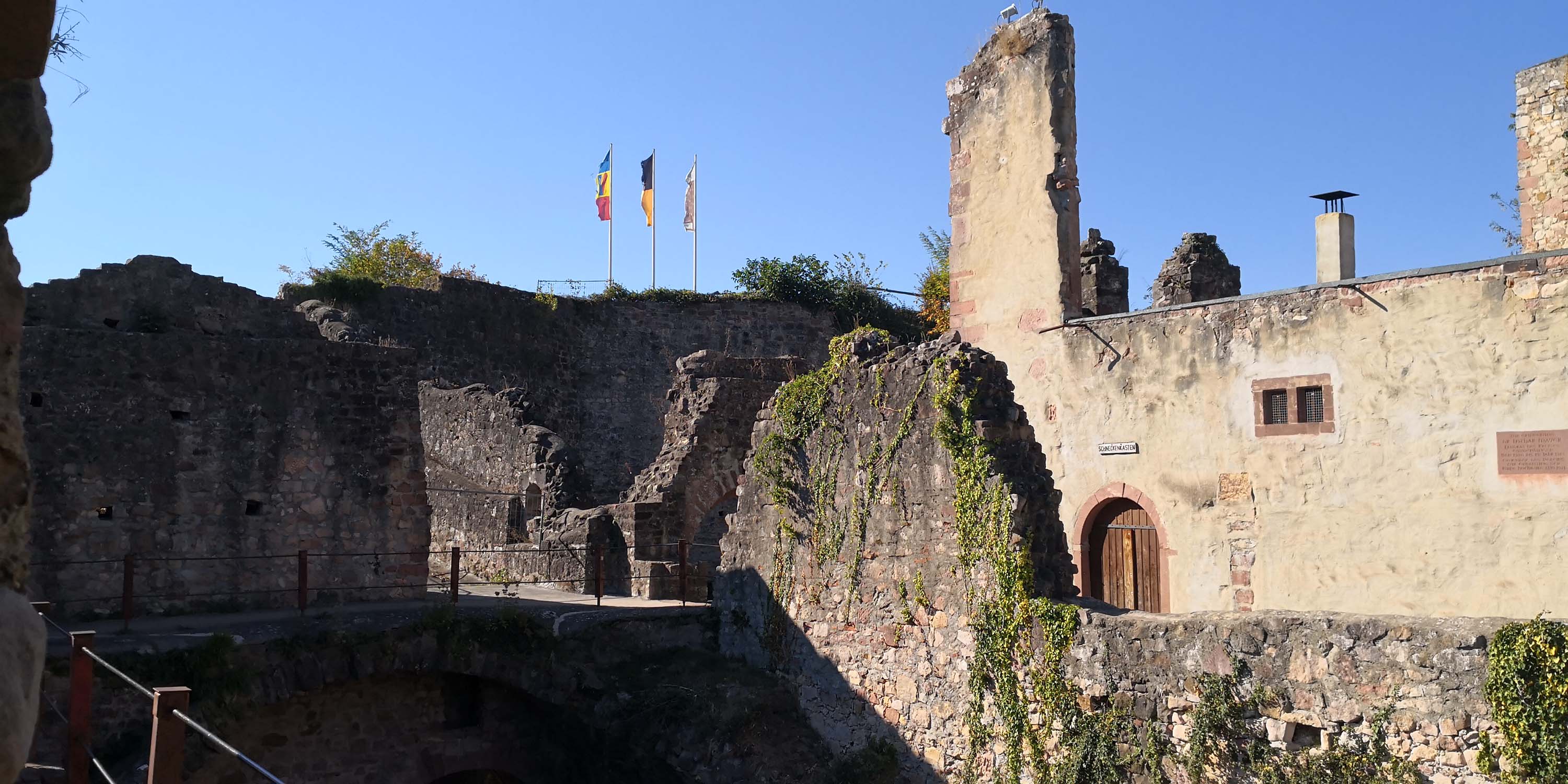 Hochburg Emmendingen www.die4hartwigs.de