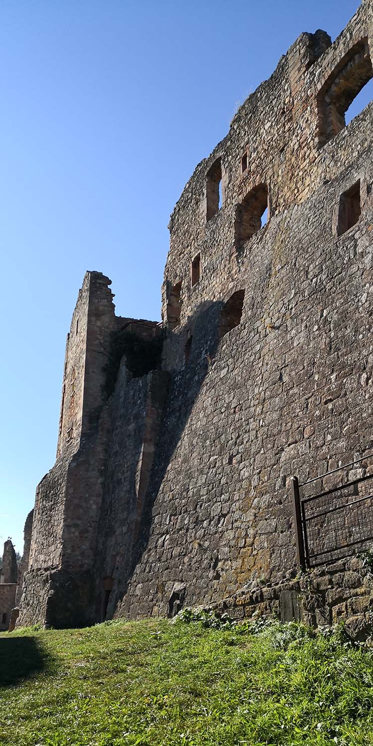 Hochburg Emmendingen www.die4hartwigs.de