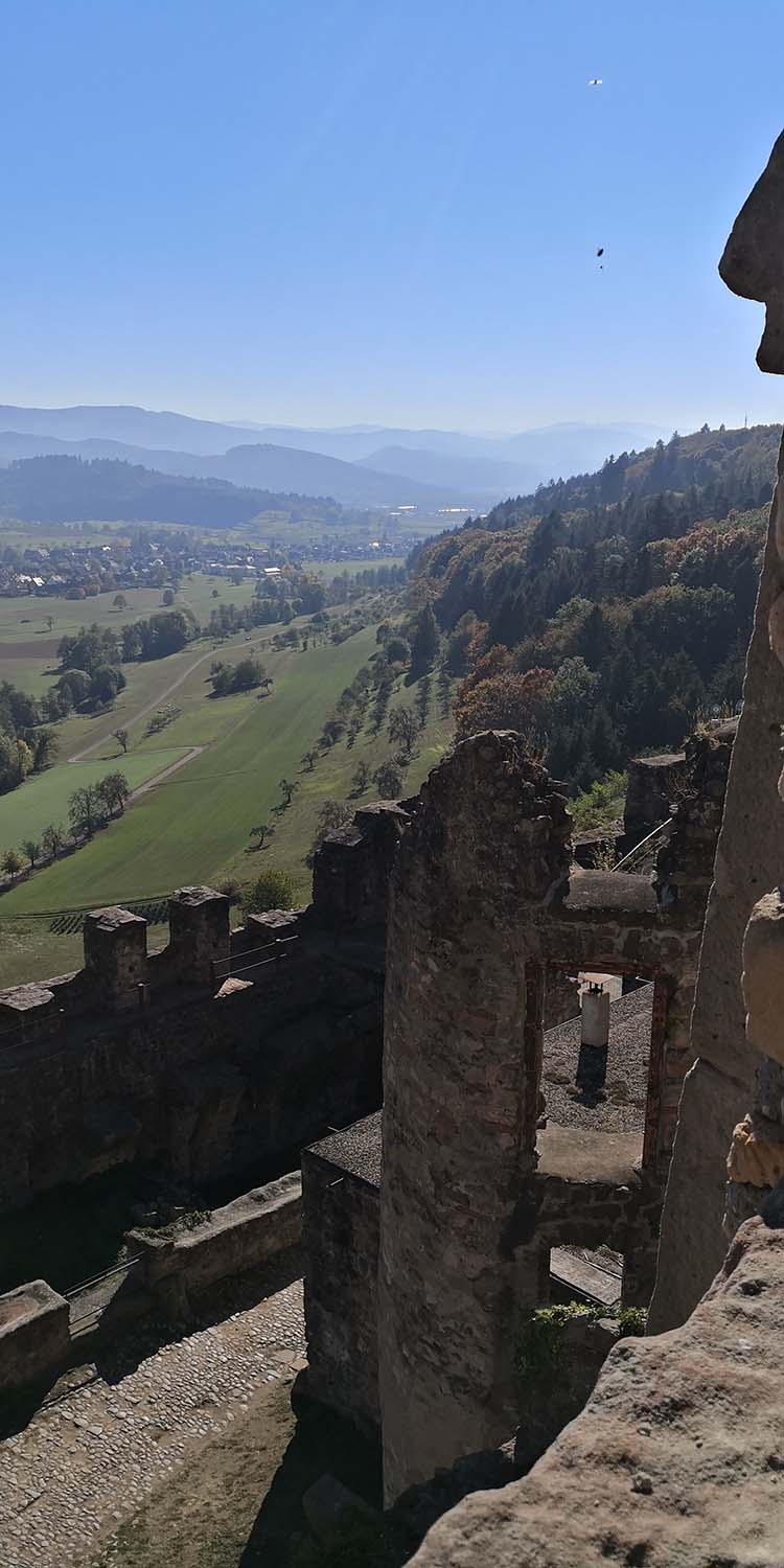 Hochburg Emmendingen www.die4hartwigs.de