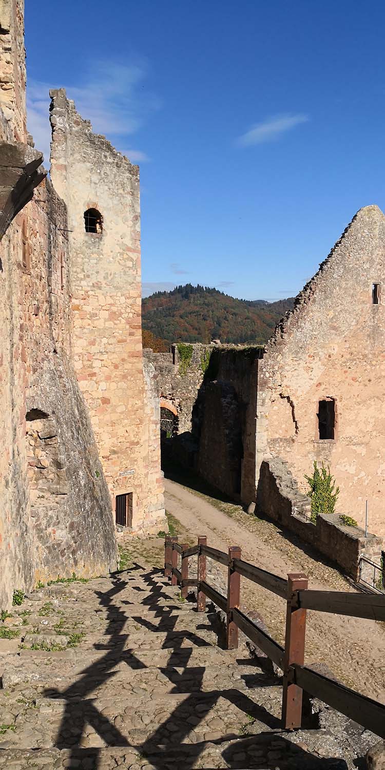 Hochburg Emmendingen www.die4hartwigs.de