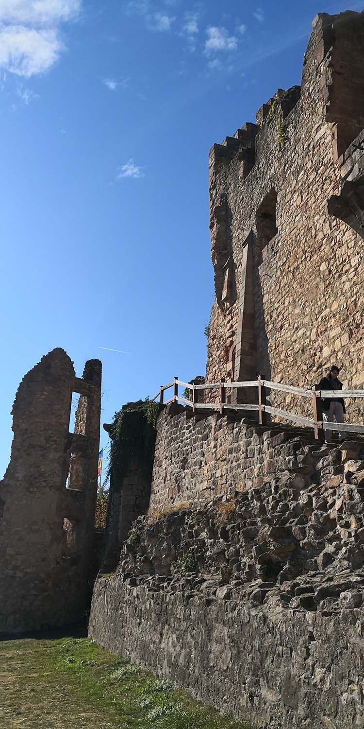 Hochburg Emmendingen www.die4hartwigs.de