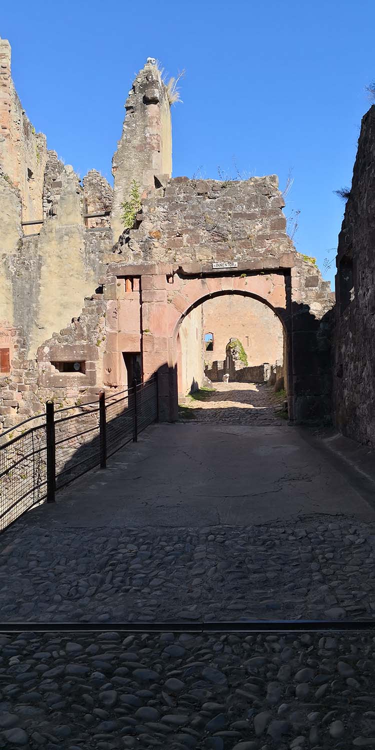 Hochburg Emmendingen www.die4hartwigs.de