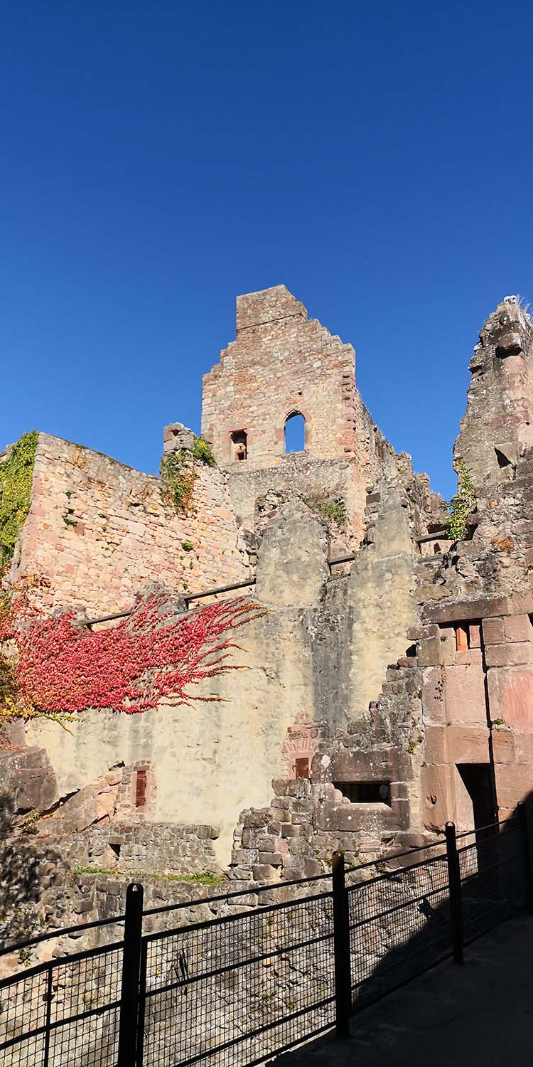 Hochburg Emmendingen www.die4hartwigs.de