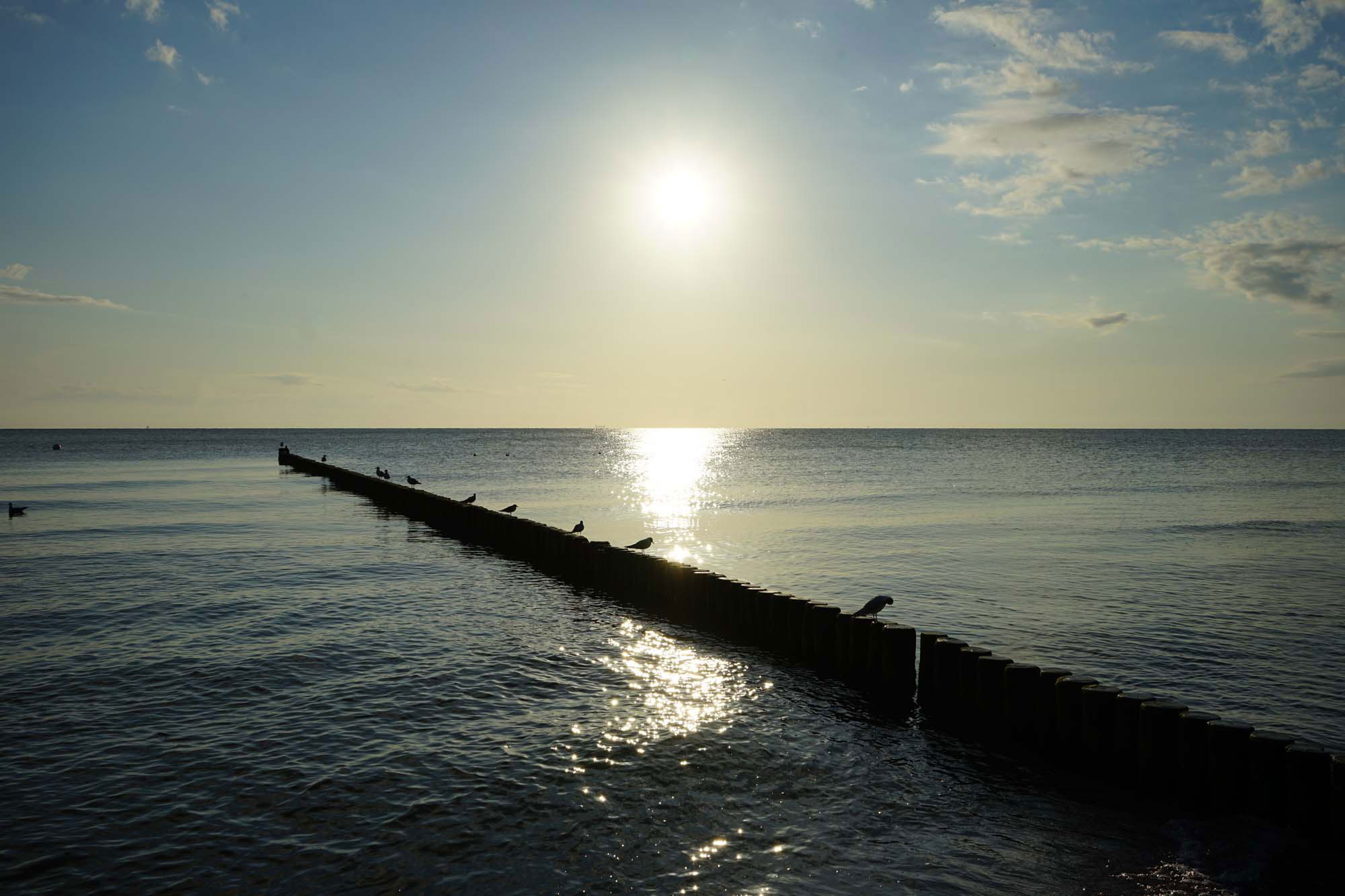 Insel Usedom www.die4hartwigs.de