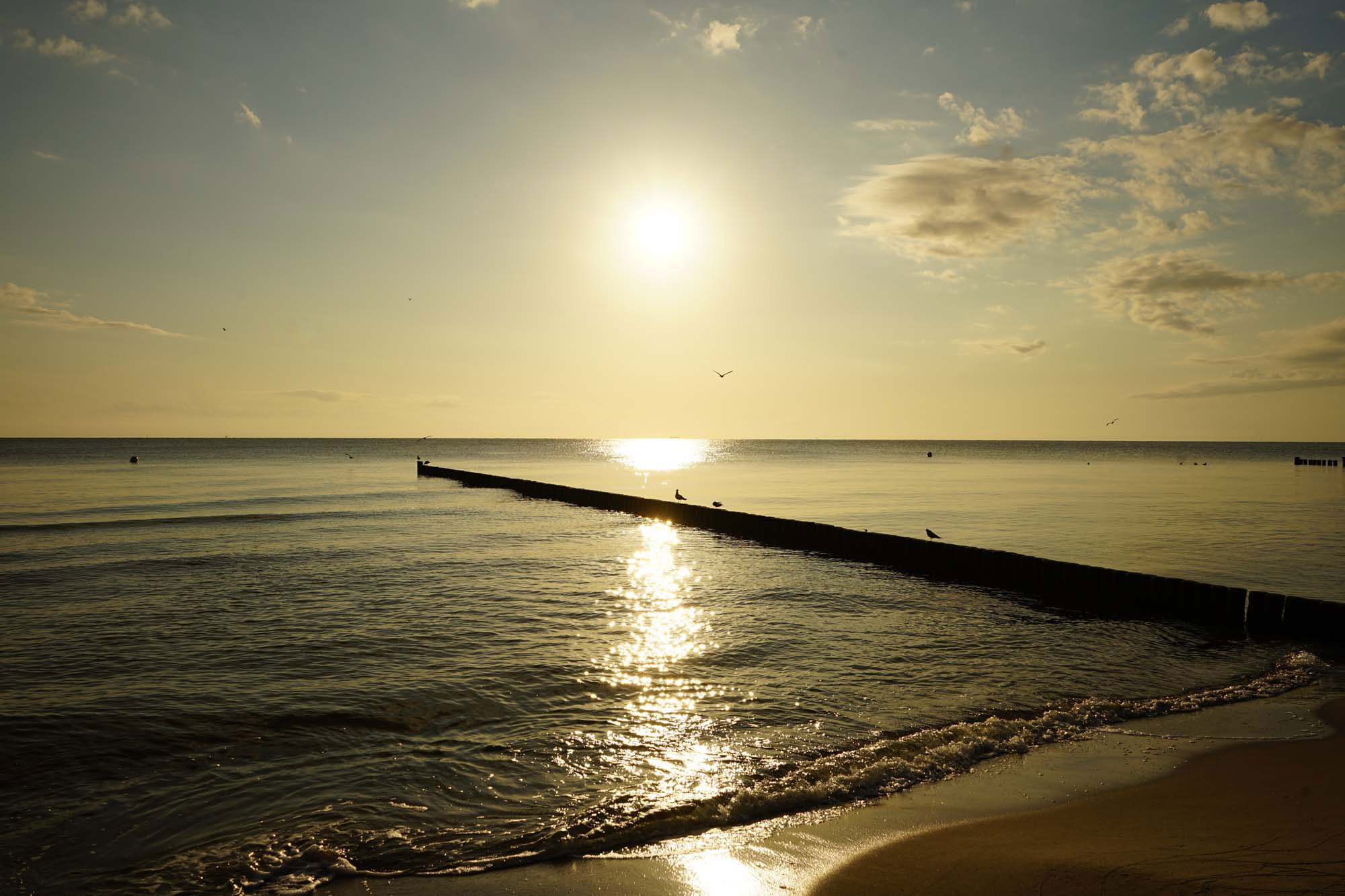 Insel Usedom www.die4hartwigs.de