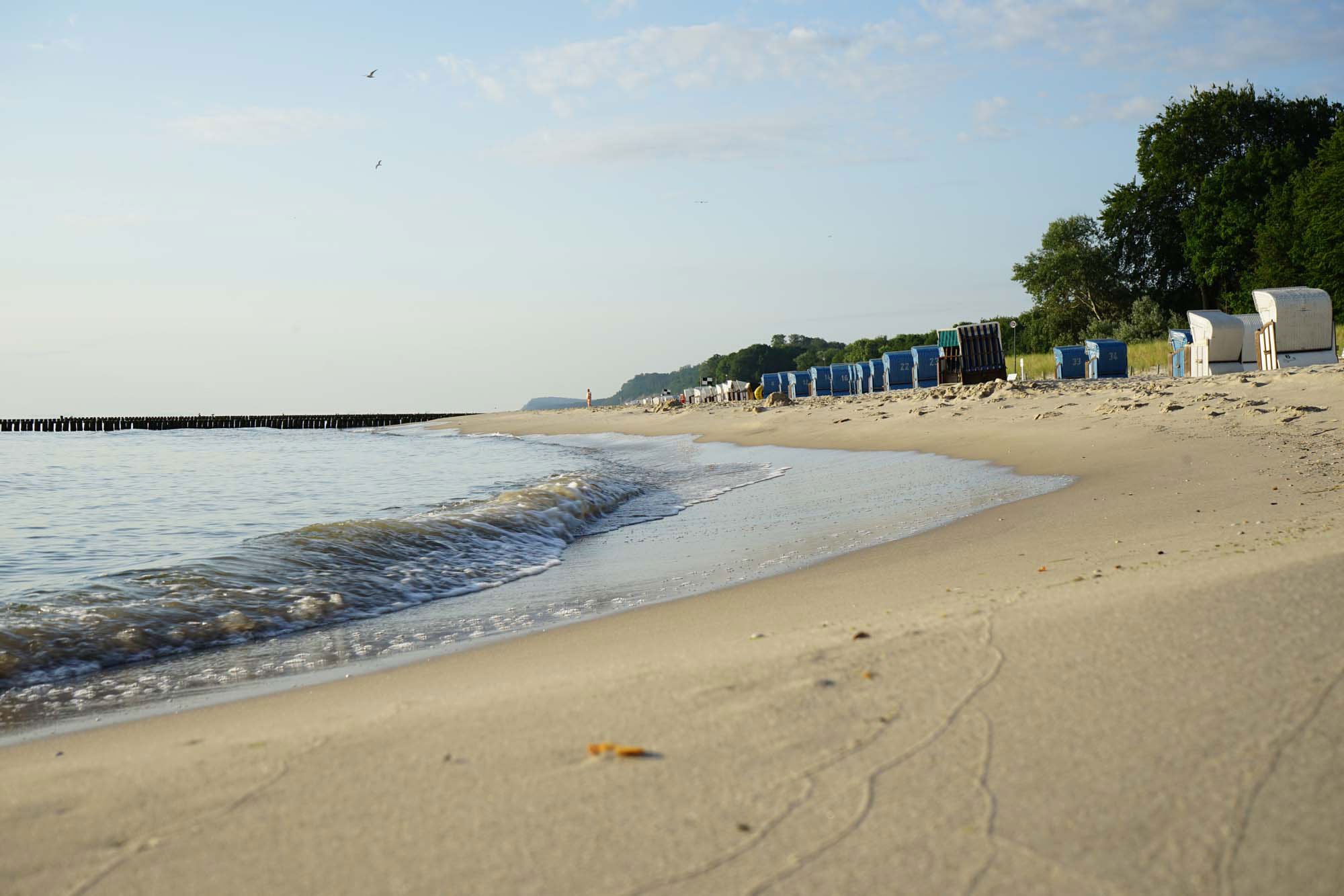 Insel Usedom www.die4hartwigs.de