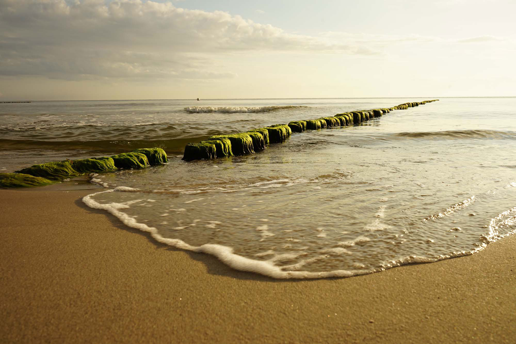 Insel Usedom www.die4hartwigs.de