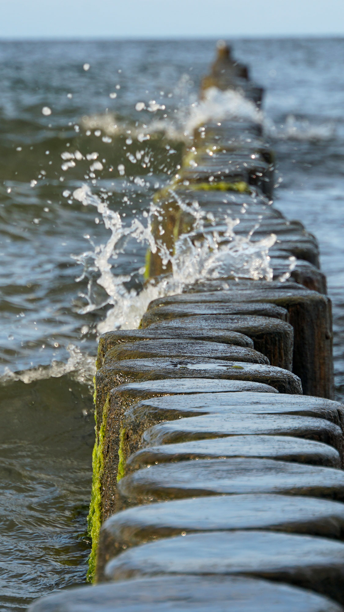Insel Usedom www.die4hartwigs.de