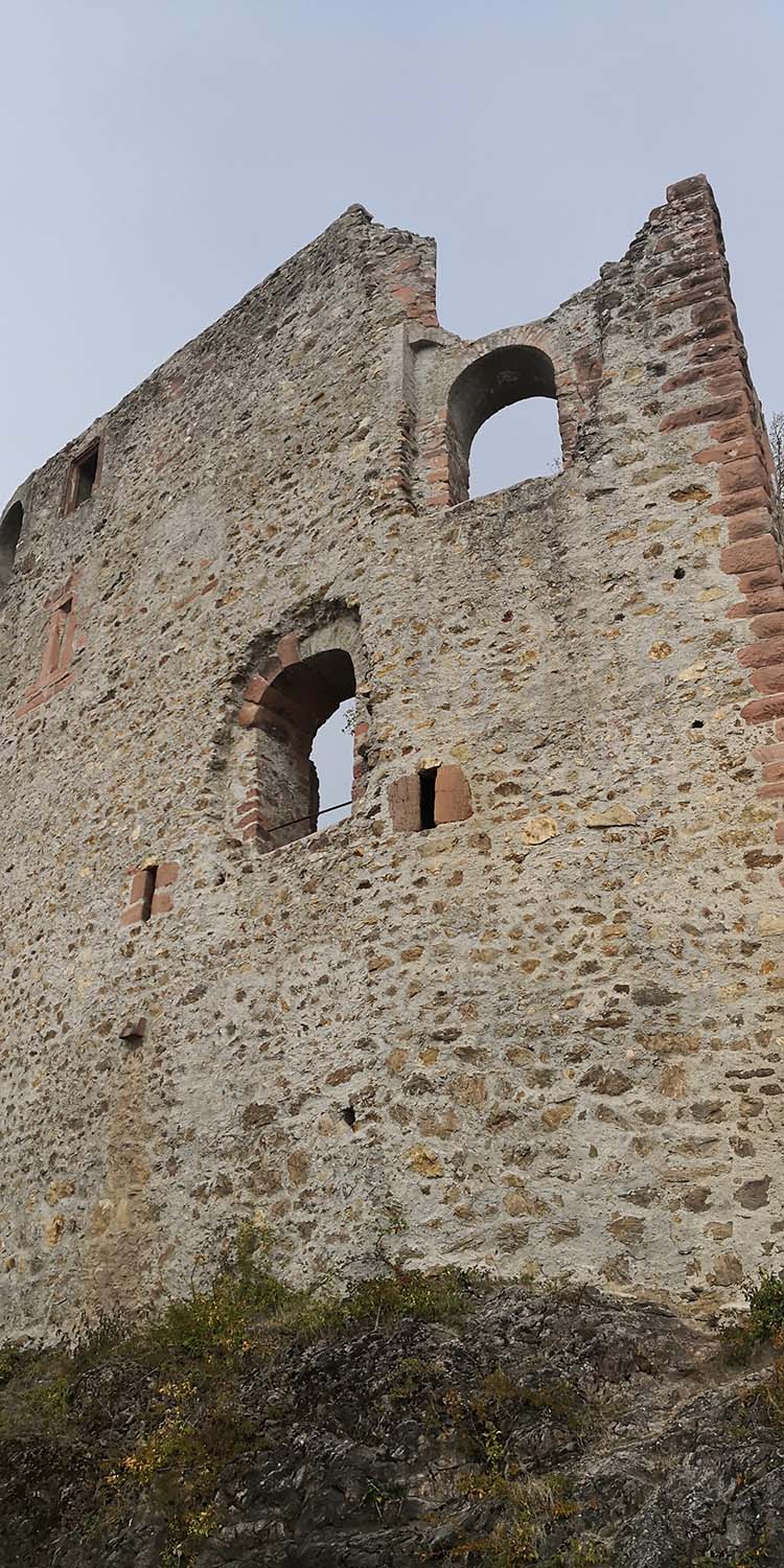 Kastelburg Waldkirch www.die4hartwigs.de