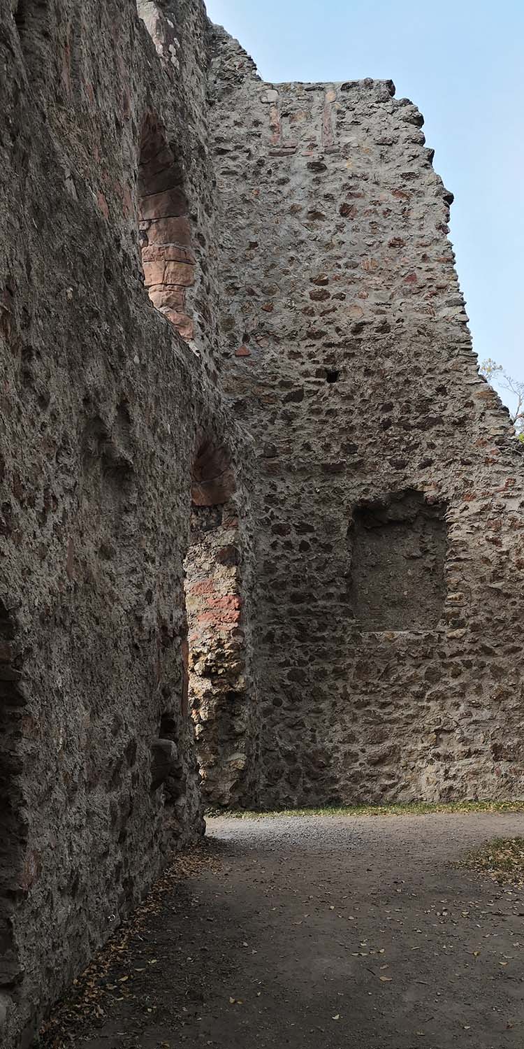 Kastelburg Waldkirch www.die4hartwigs.de