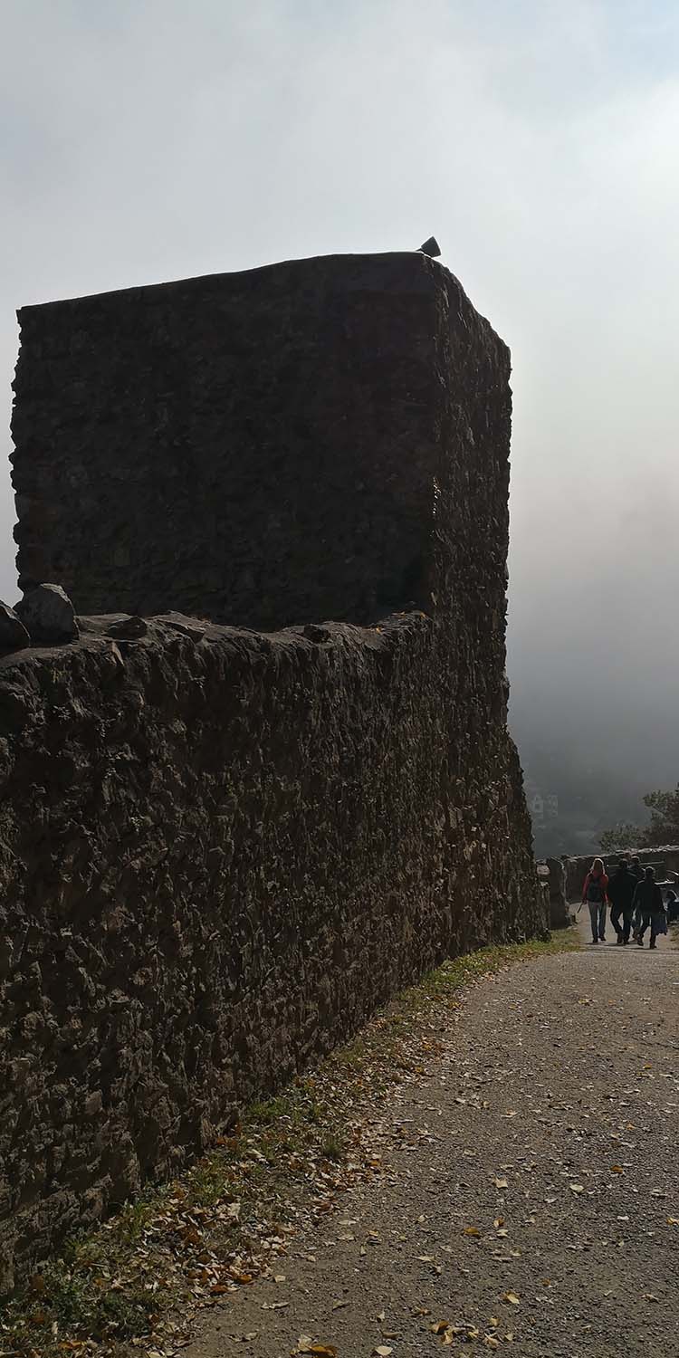 Kastelburg Waldkirch www.die4hartwigs.de