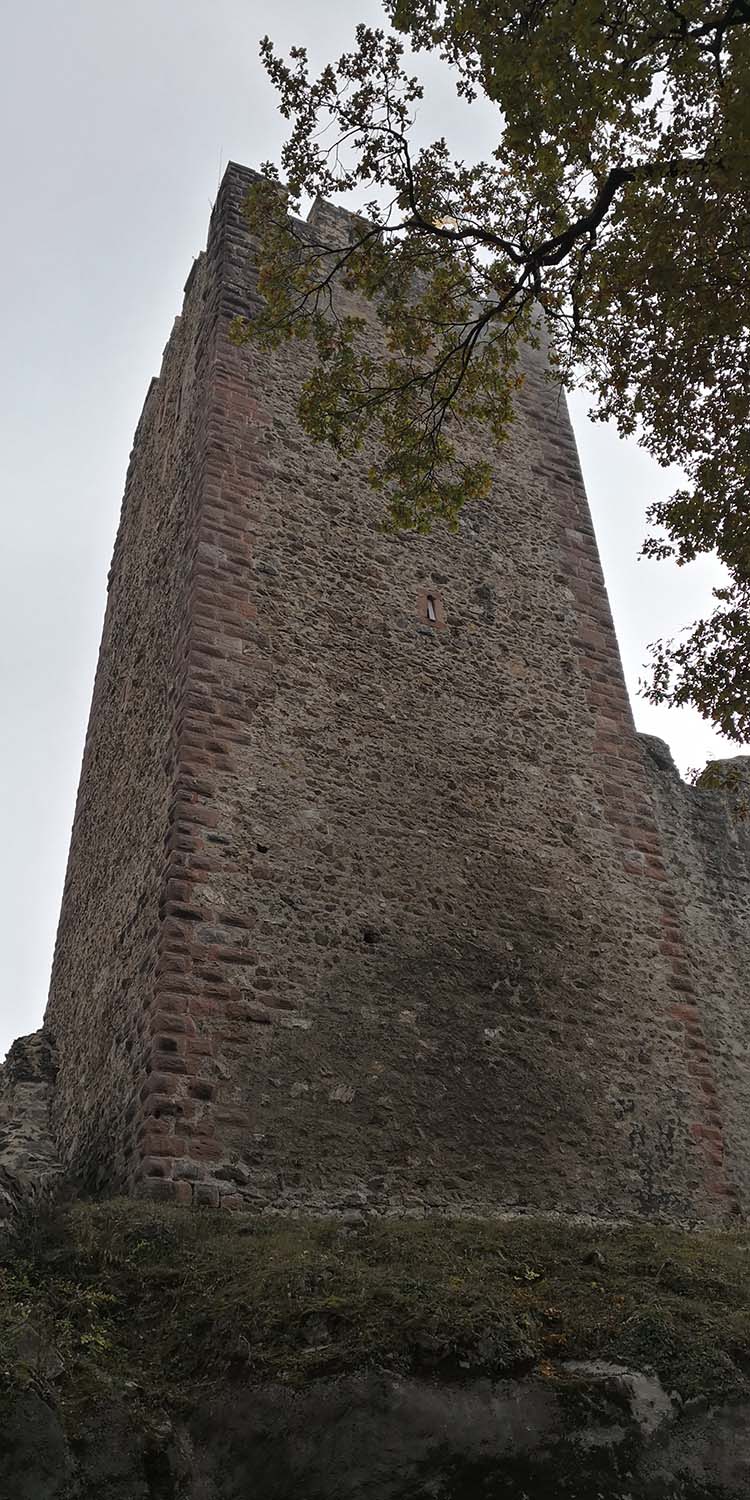 Kastelburg Waldkirch www.die4hartwigs.de