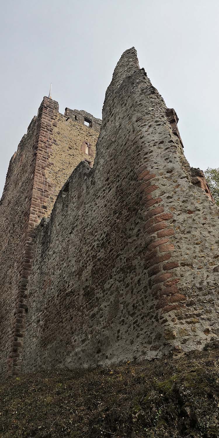 Kastelburg Waldkirch www.die4hartwigs.de