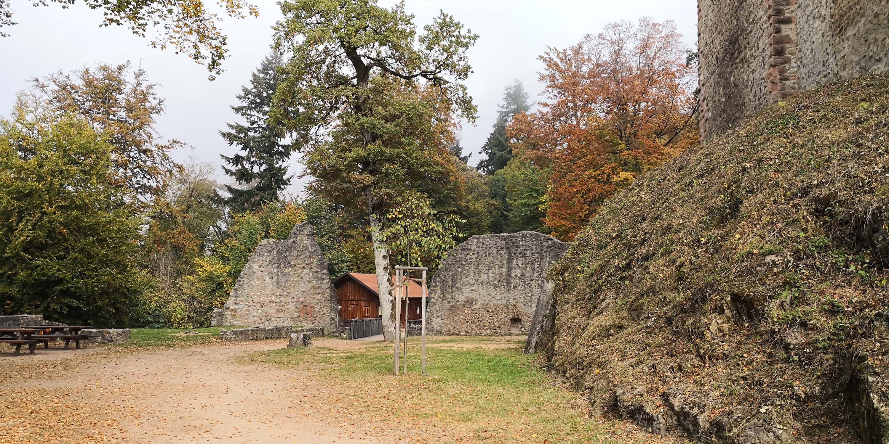 Kastelburg Waldkirch www.die4hartwigs.de