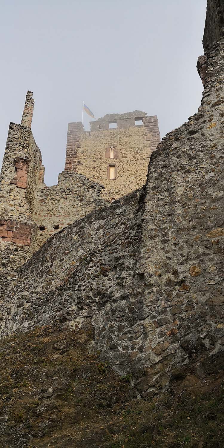Kastelburg Waldkirch www.die4hartwigs.de