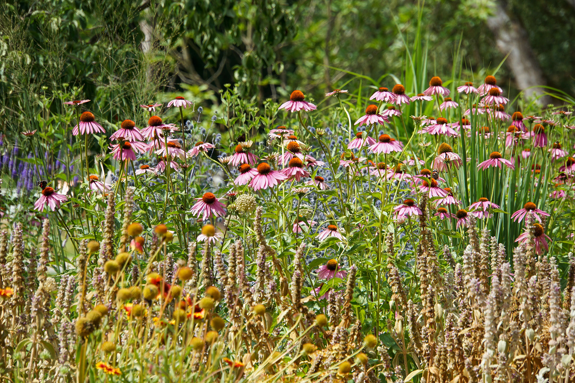 Landesgartenschau Beelitz 2022 www.die4hartwigs.de