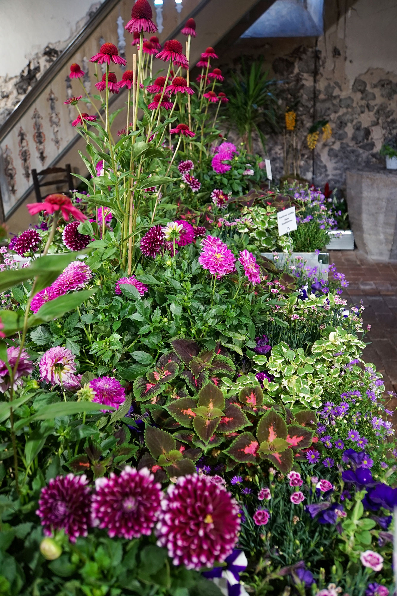 Landesgartenschau Beelitz 2022 www.die4hartwigs.de