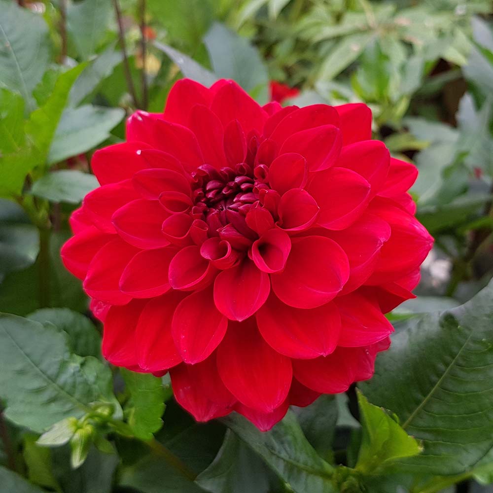 Fürst-Pückler-Park Bad Muskau www.die4hartwigs.de