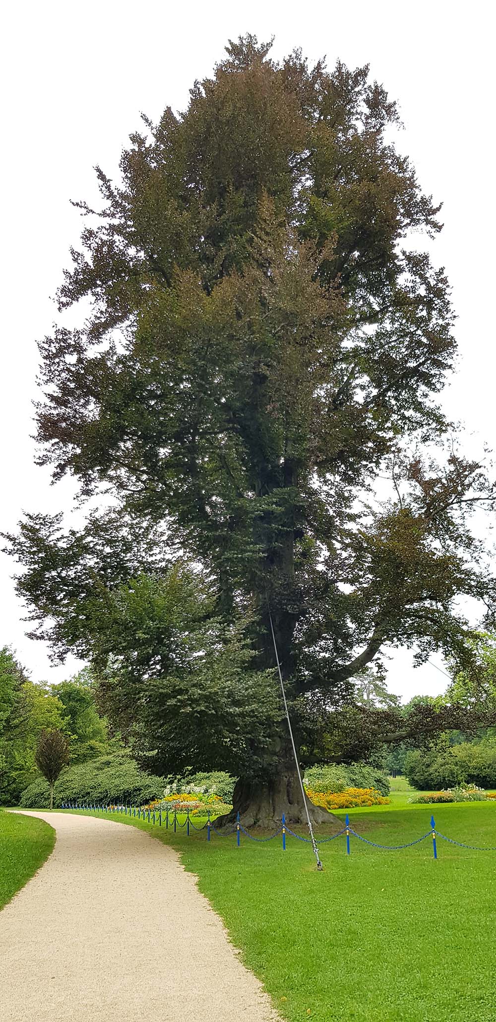 Fürst-Pückler-Park Bad Muskau www.die4hartwigs.de