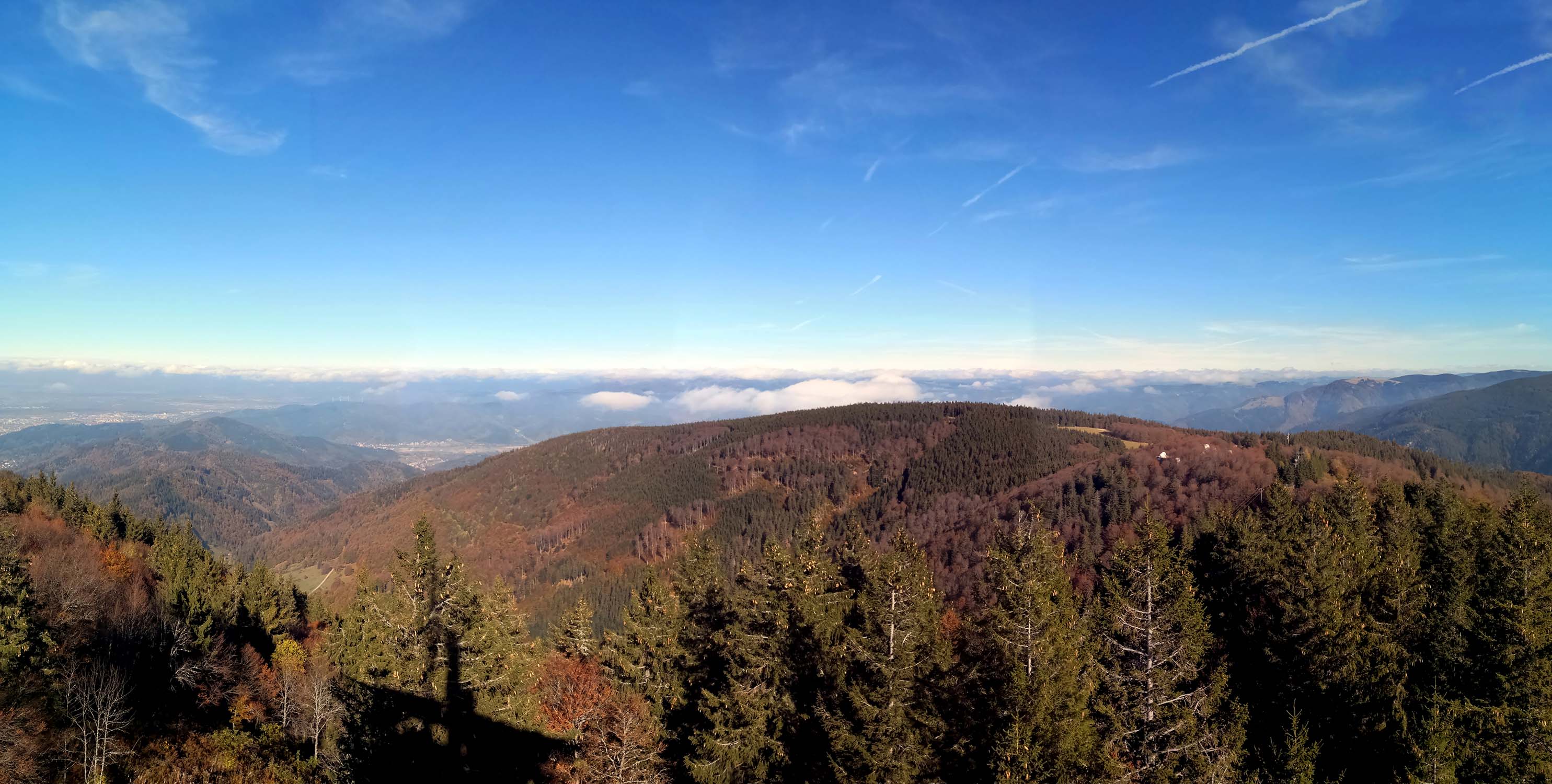 Schauinsland www.die4hartwigs.de