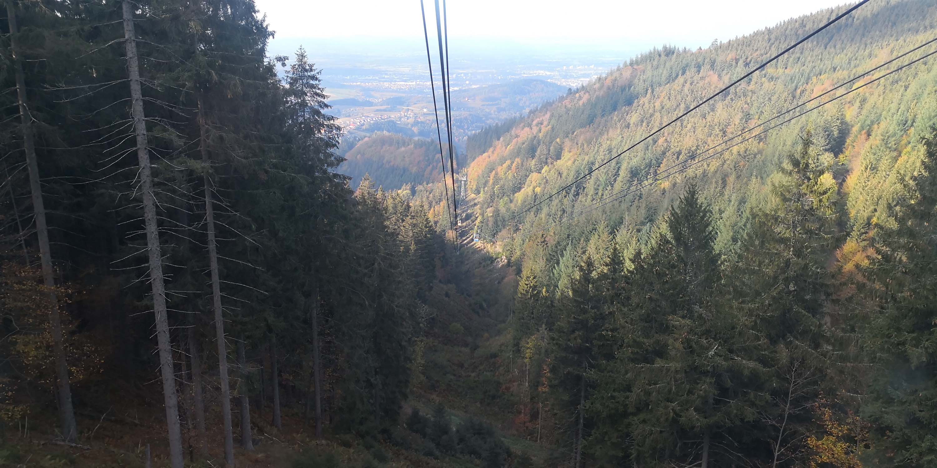 Schauinsland www.die4hartwigs.de