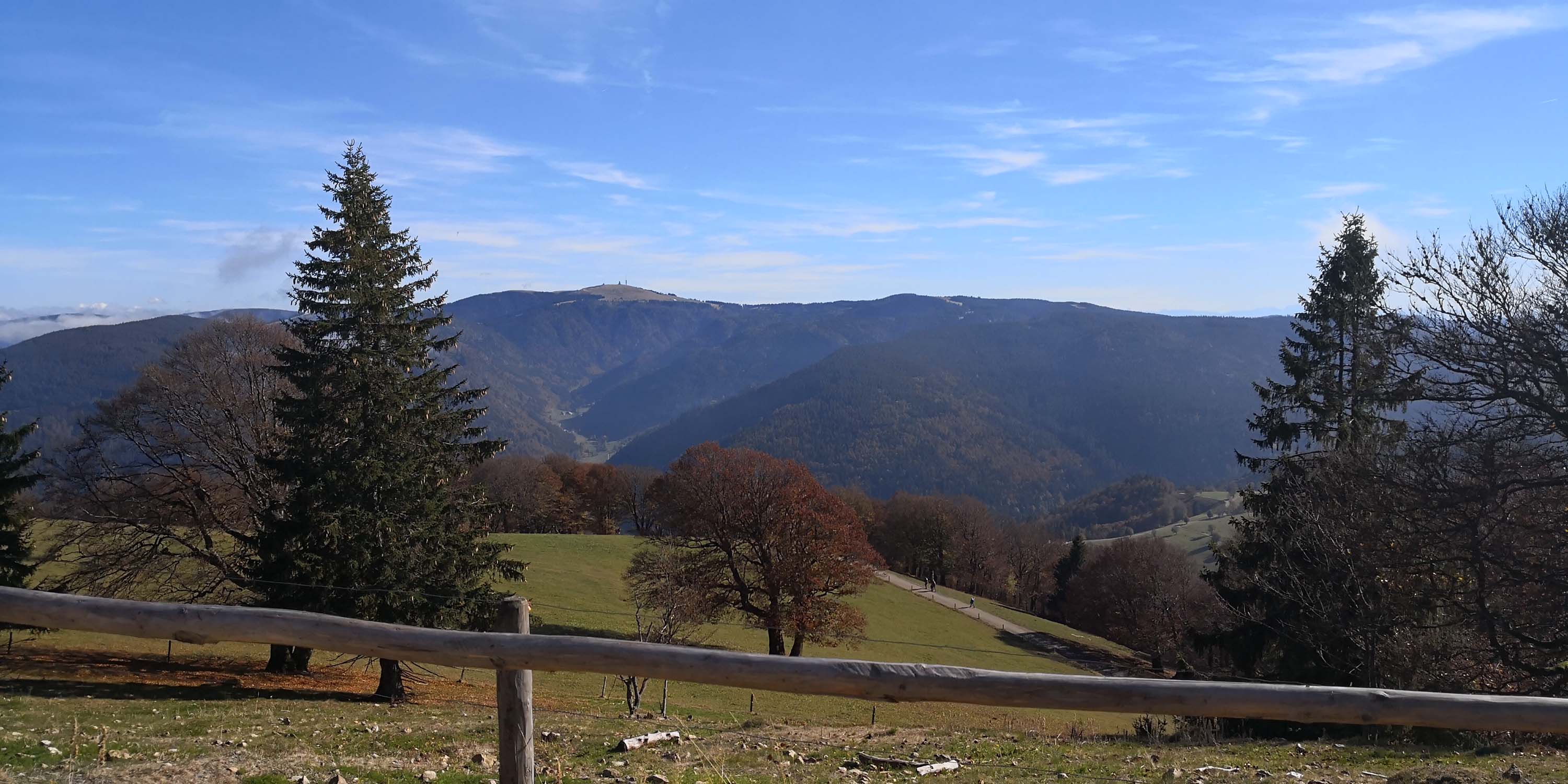 Schauinsland www.die4hartwigs.de