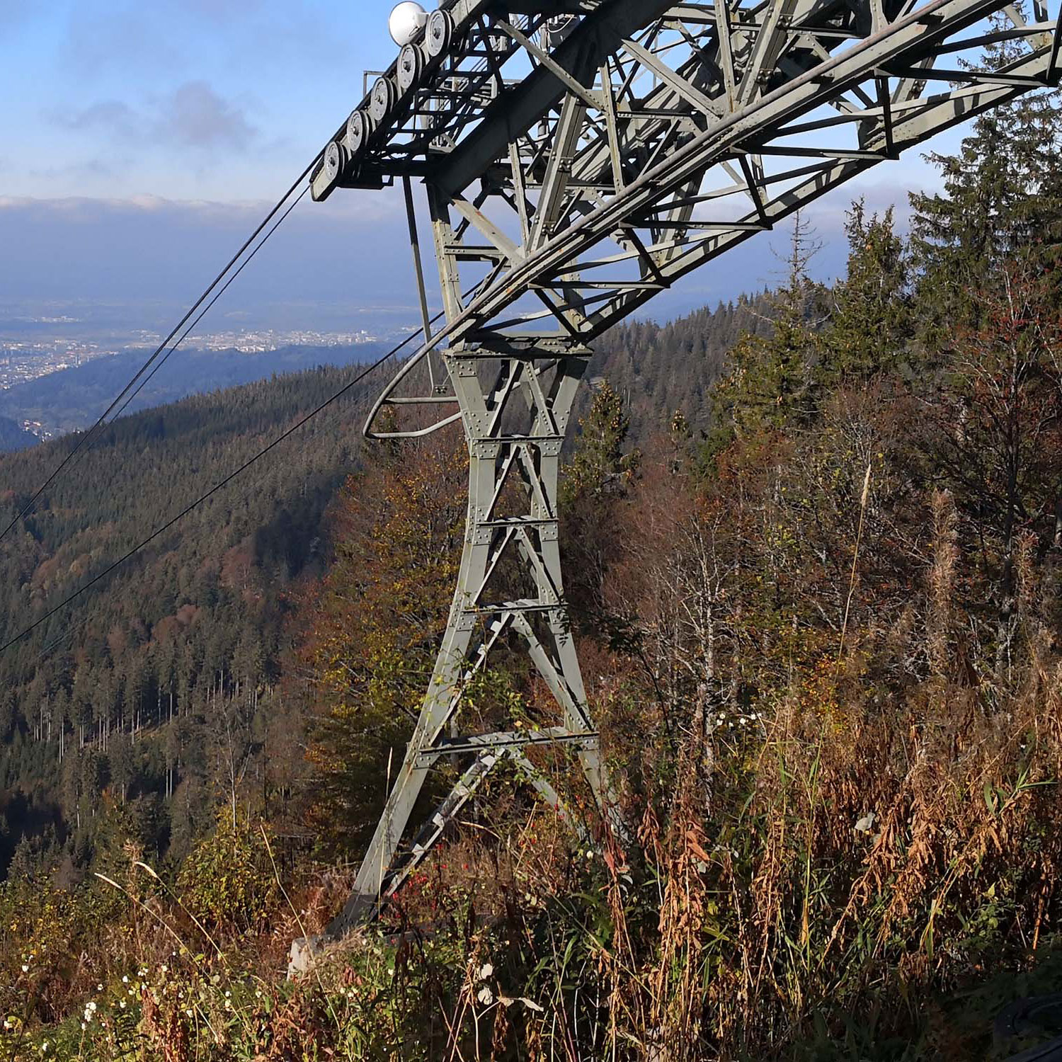 Schauinsland www.die4hartwigs.de