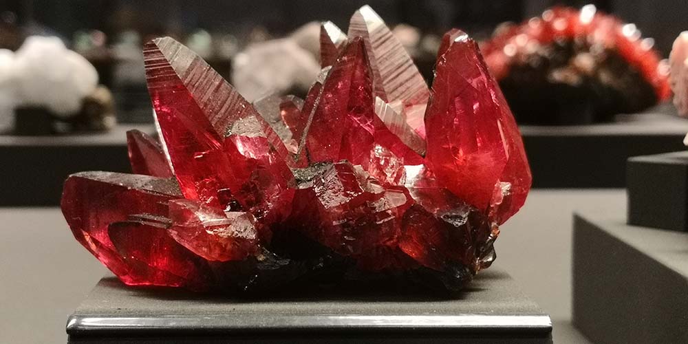 Terra Mineralia Freiberg www.die4hartwigs.de