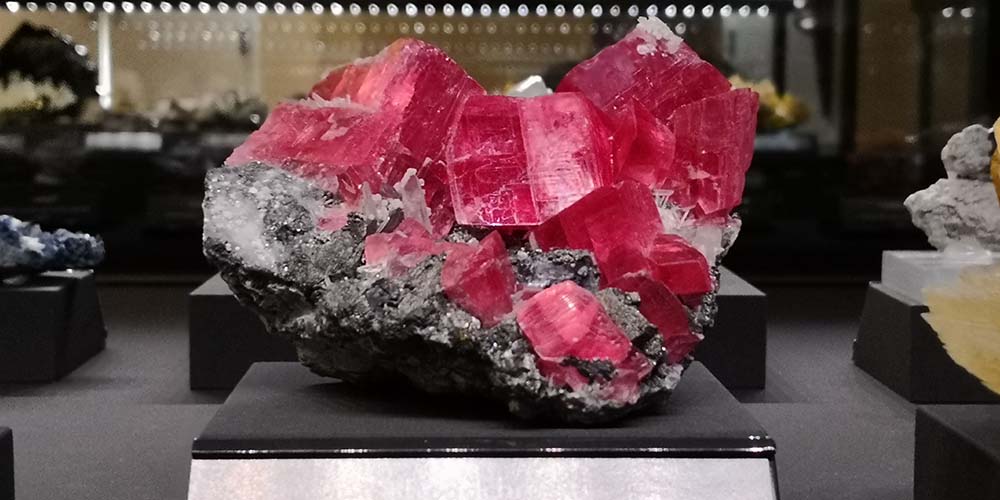 Terra Mineralia Freiberg www.die4hartwigs.de