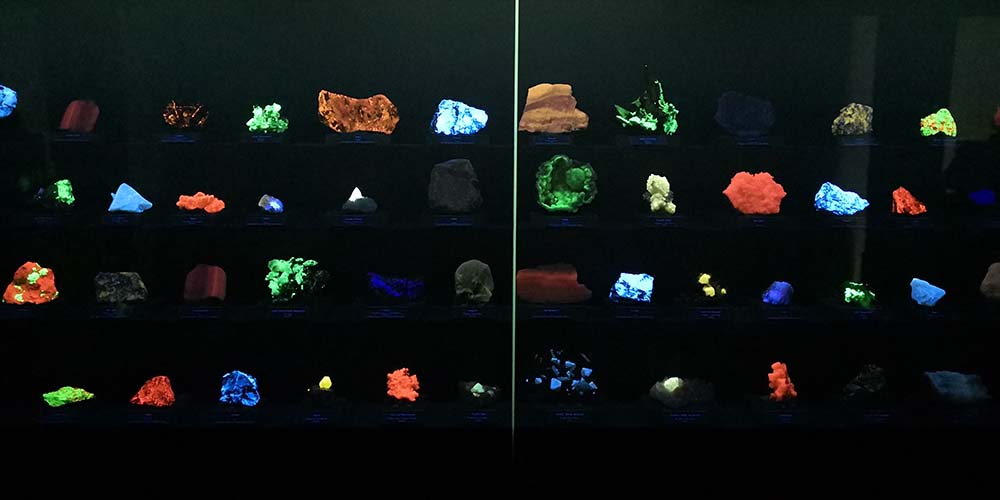 Terra Mineralia Freiberg www.die4hartwigs.de